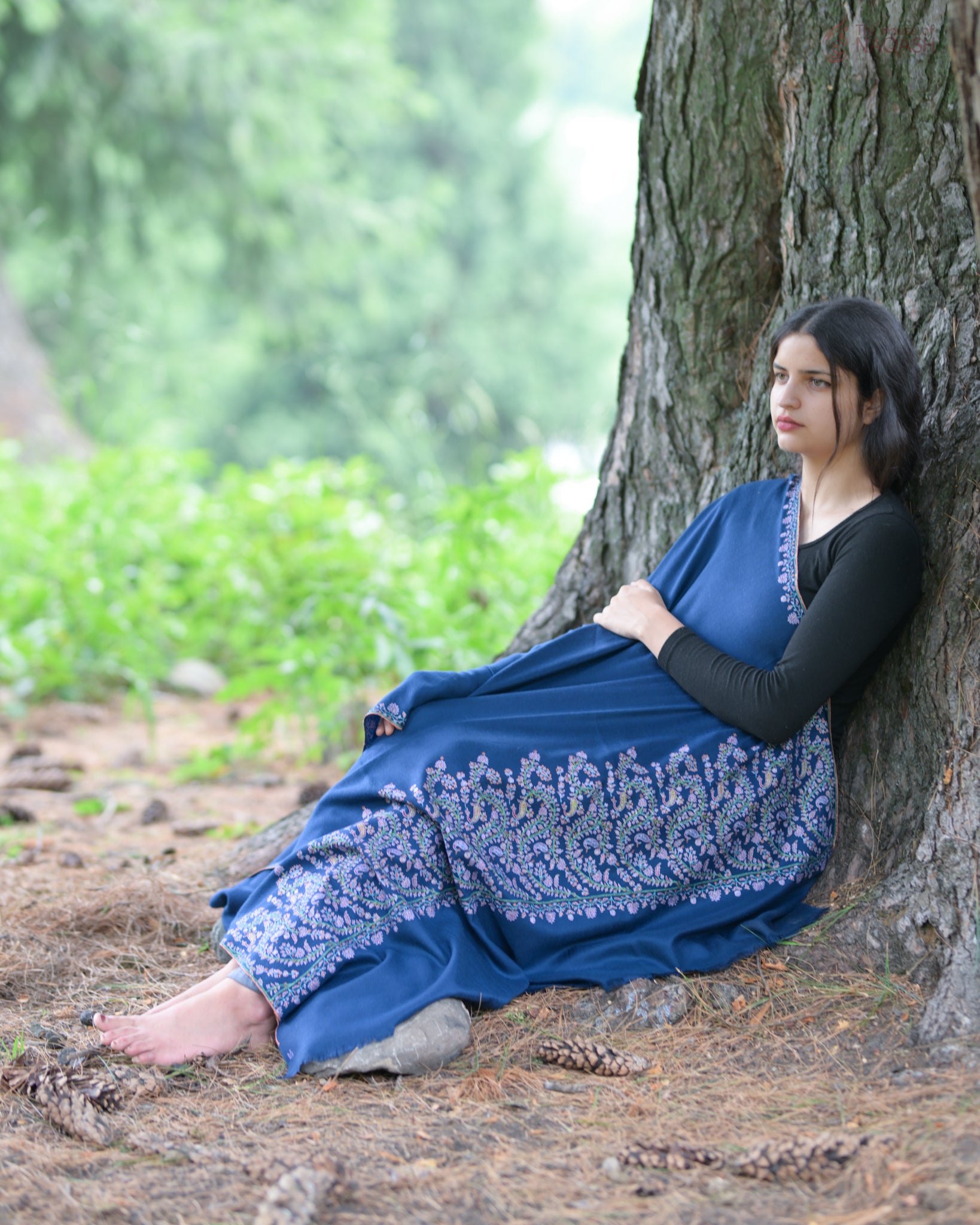 Cascade Pashmina Shawl.