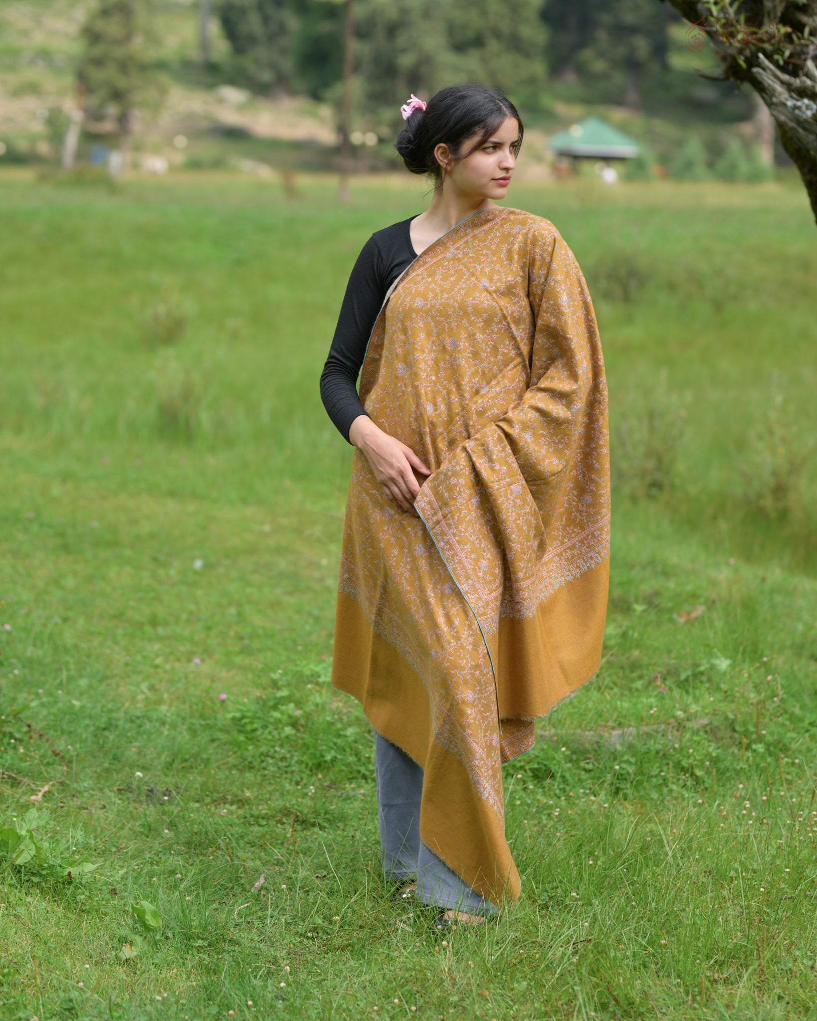 Two-in-One Reversible GI Pashmina Shawl