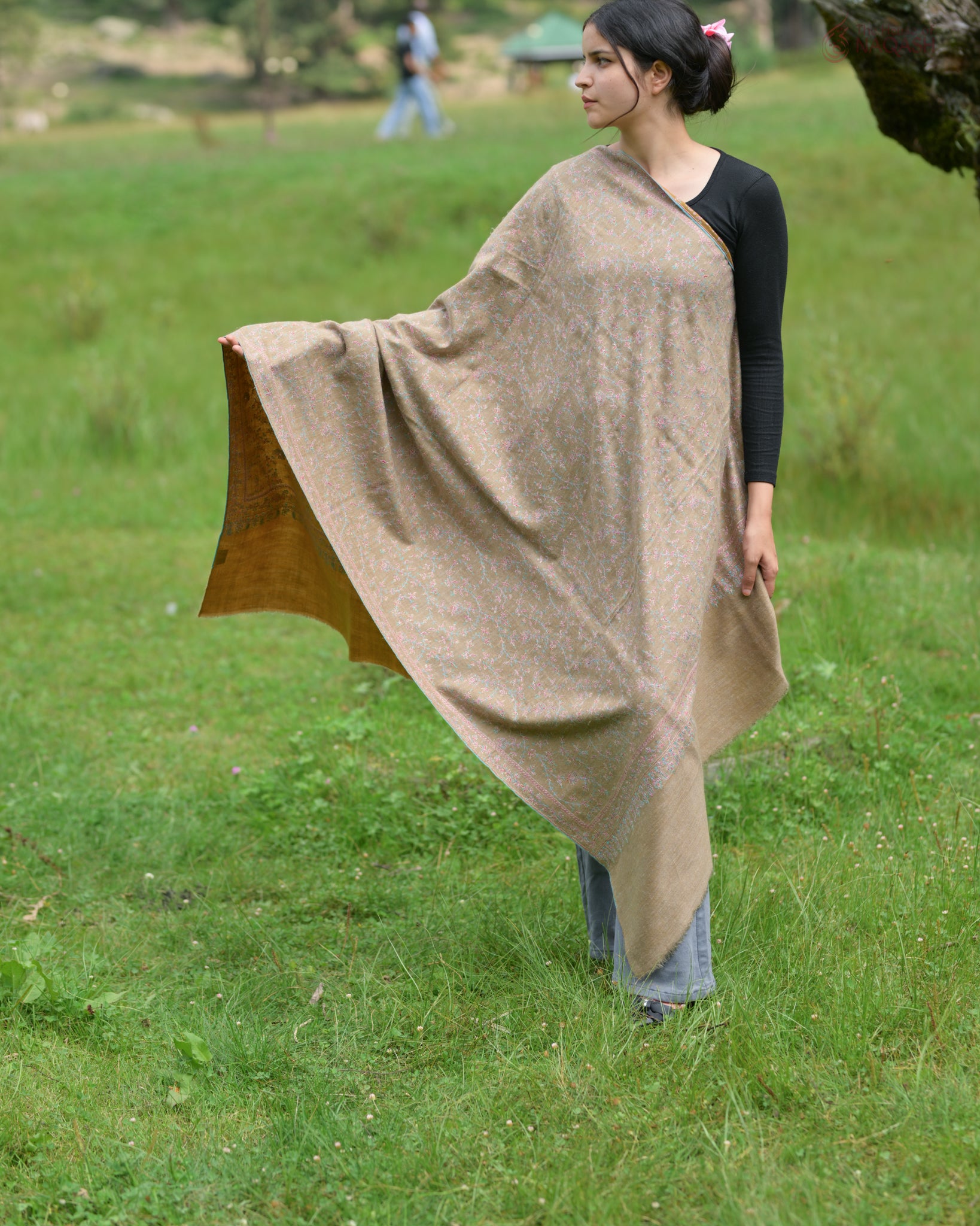 Two-in-One Reversible GI Pashmina Shawl