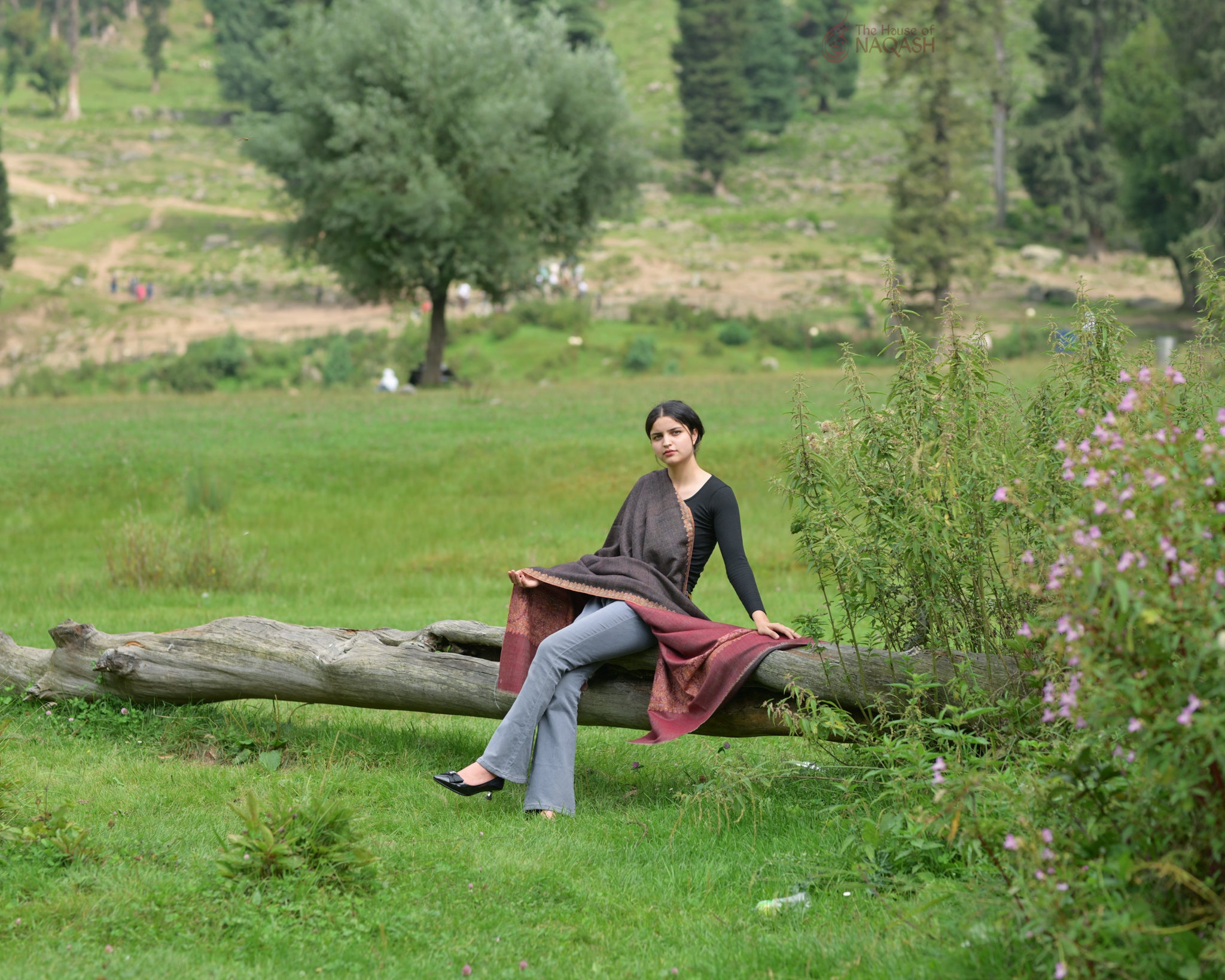 ReveriSilk Elegance Reversible GI Pashmina Shawl