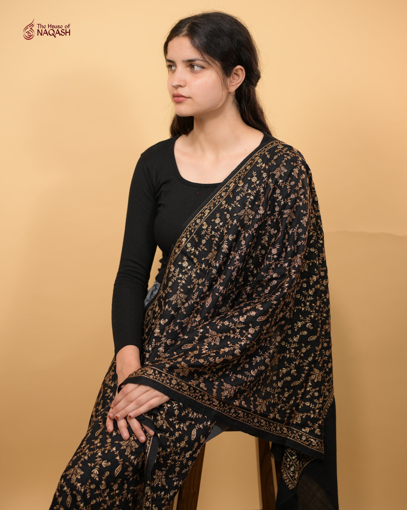 Ebony Sari Jaaldar Splendour