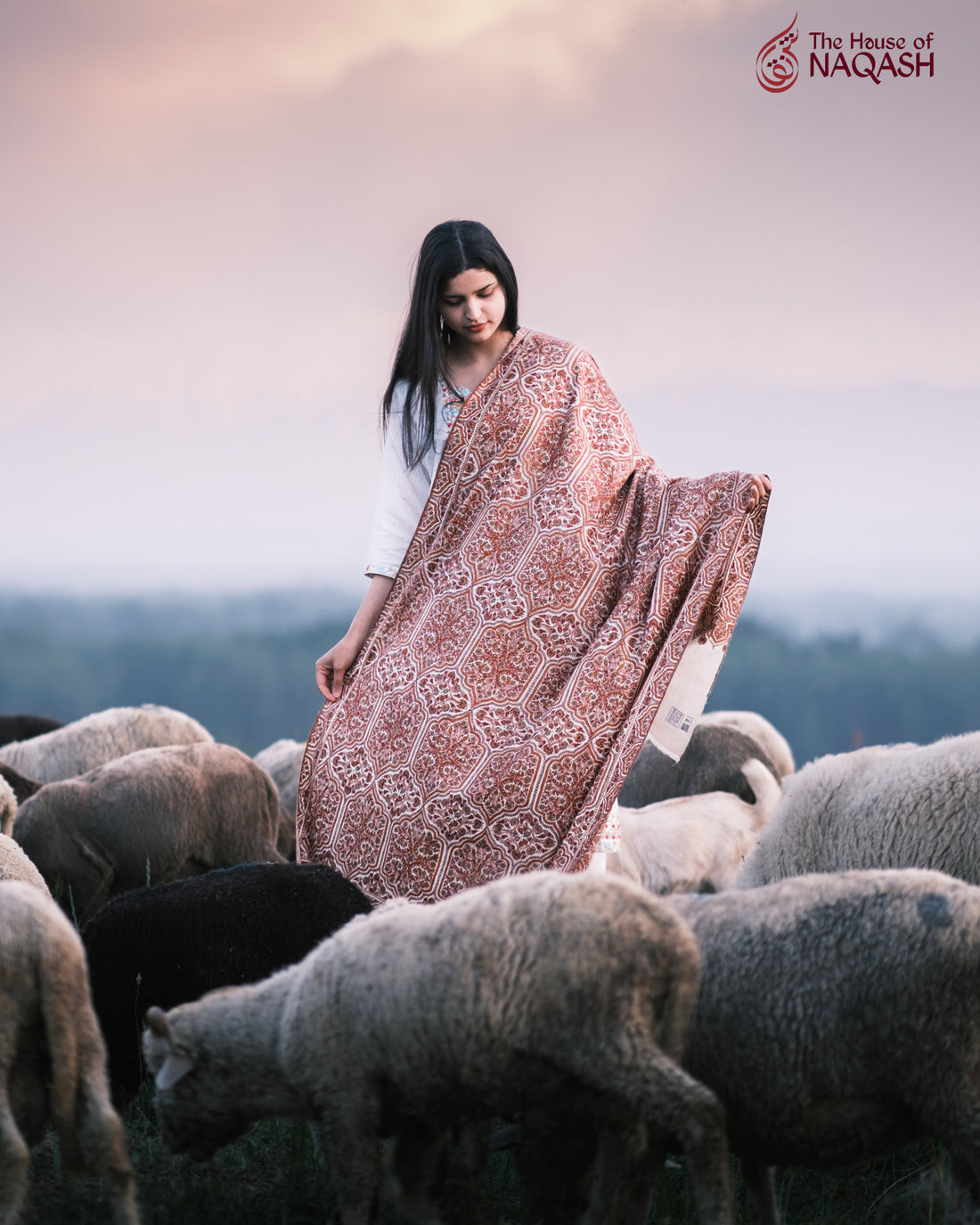 Embroidered Mirage GI Pashmina Shawl