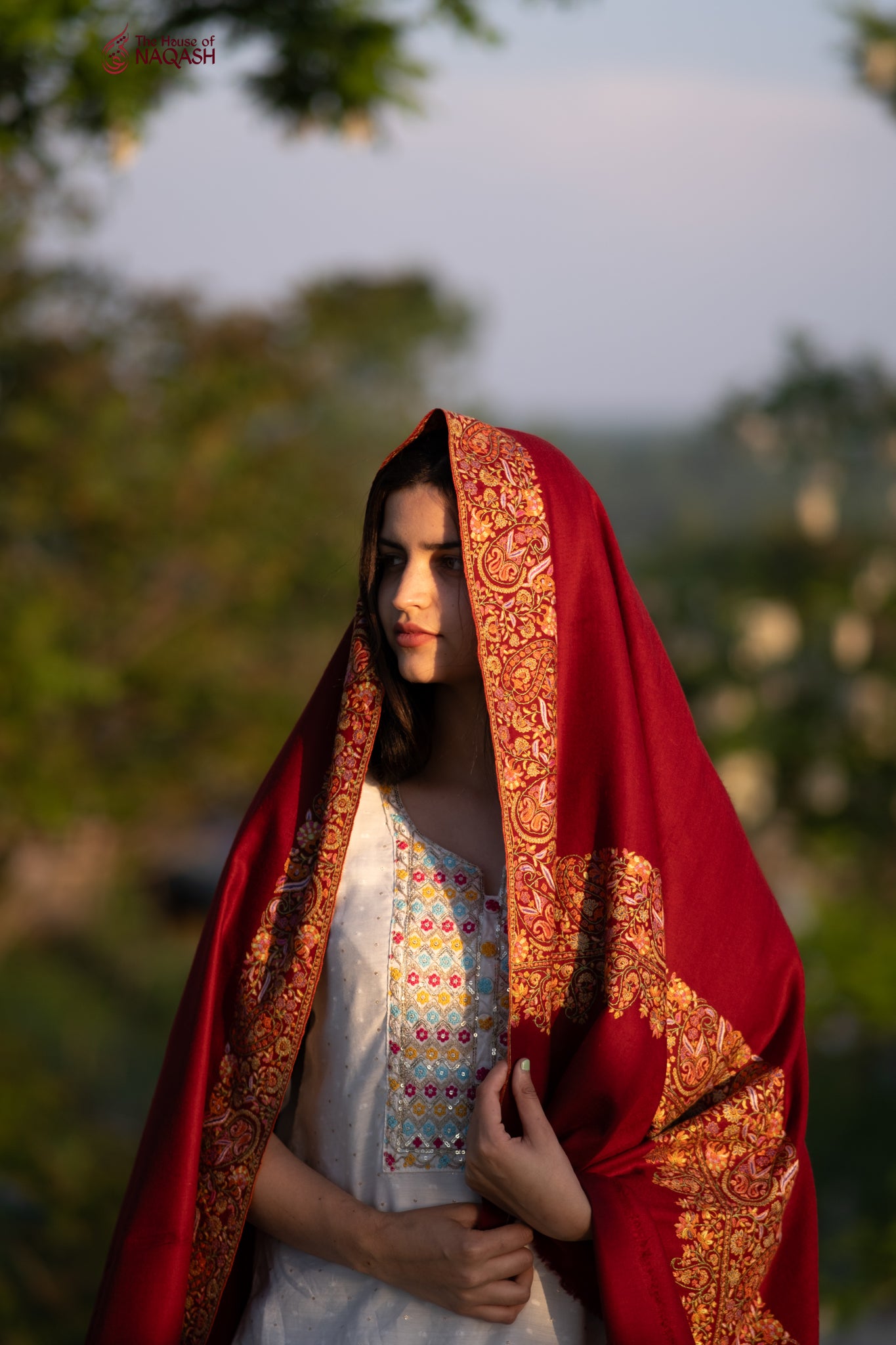 Berry Velvet Pashmina Shawl