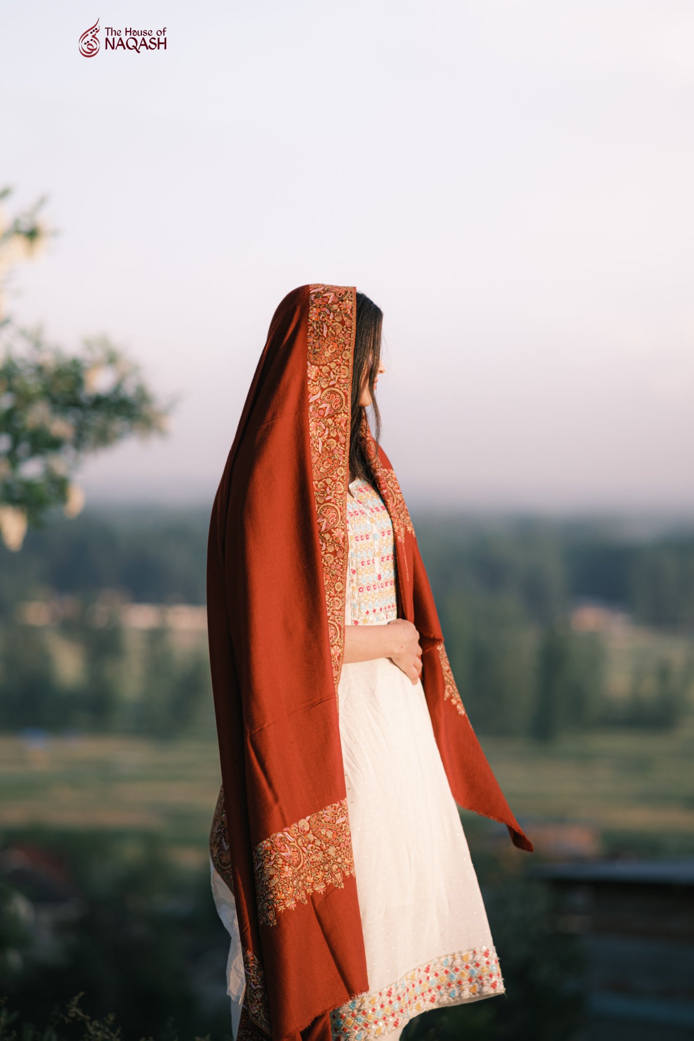 Berry Velvet Pashmina Shawl