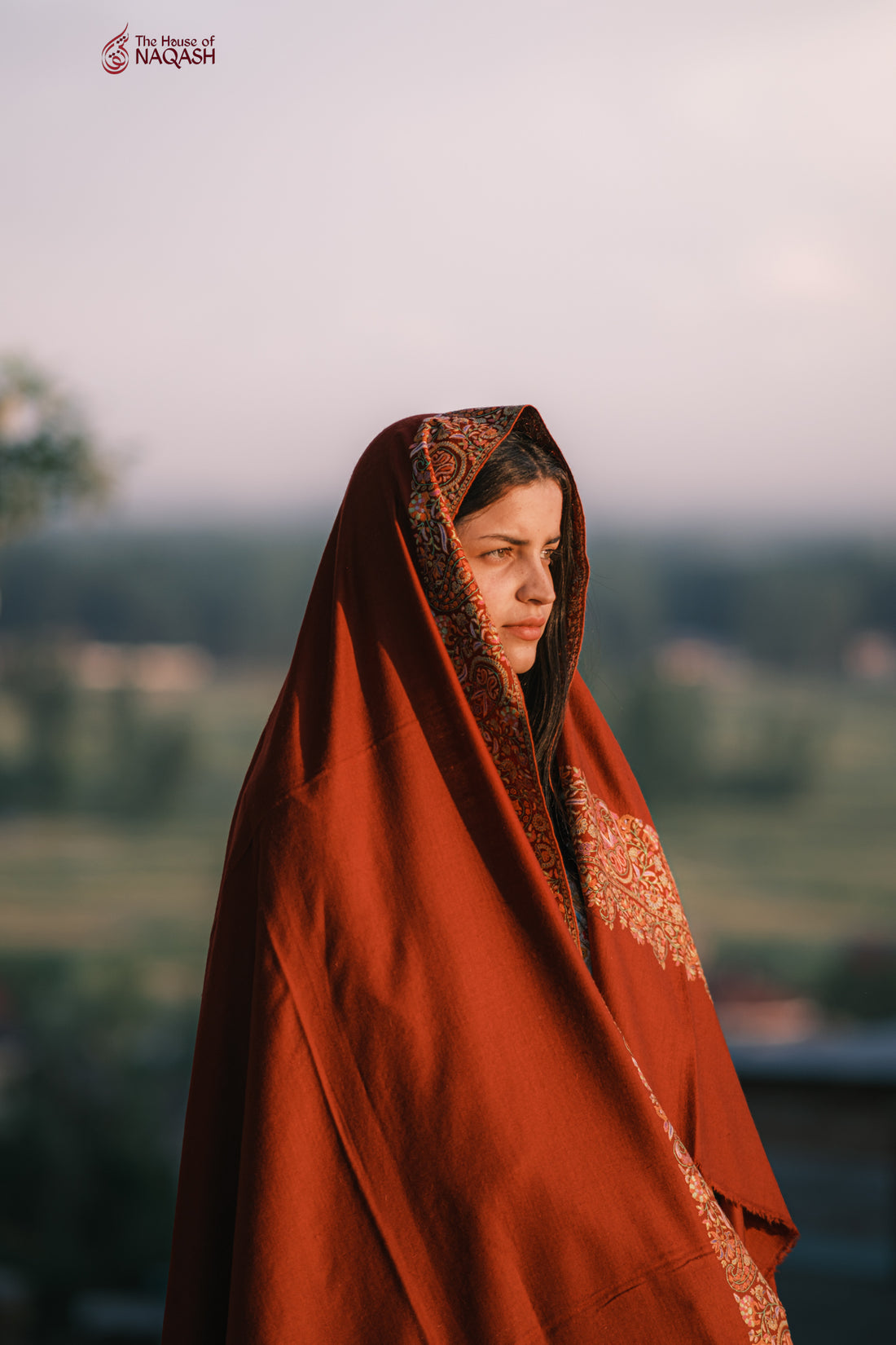 Berry Velvet Pashmina Shawl