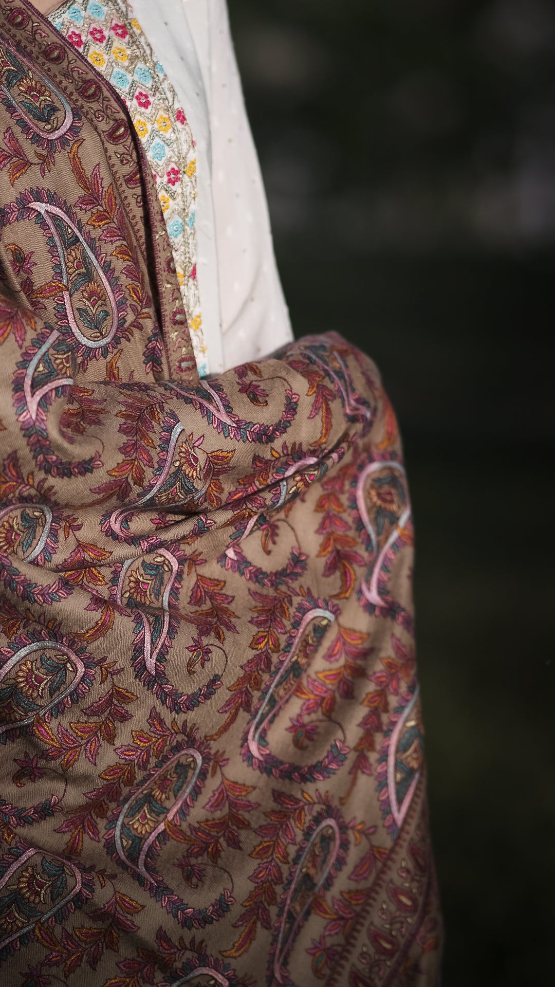 Honeyed Beige Jaaldar GI Pashmina Shawl
