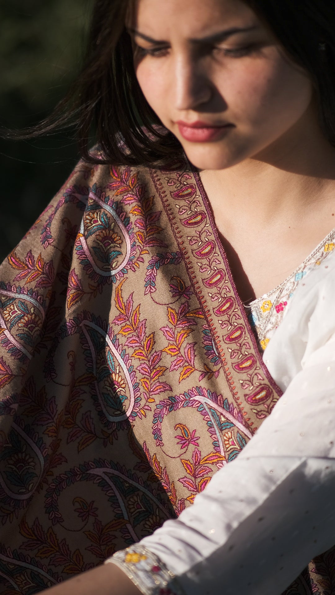 Honeyed Beige Jaaldar GI Pashmina Shawl