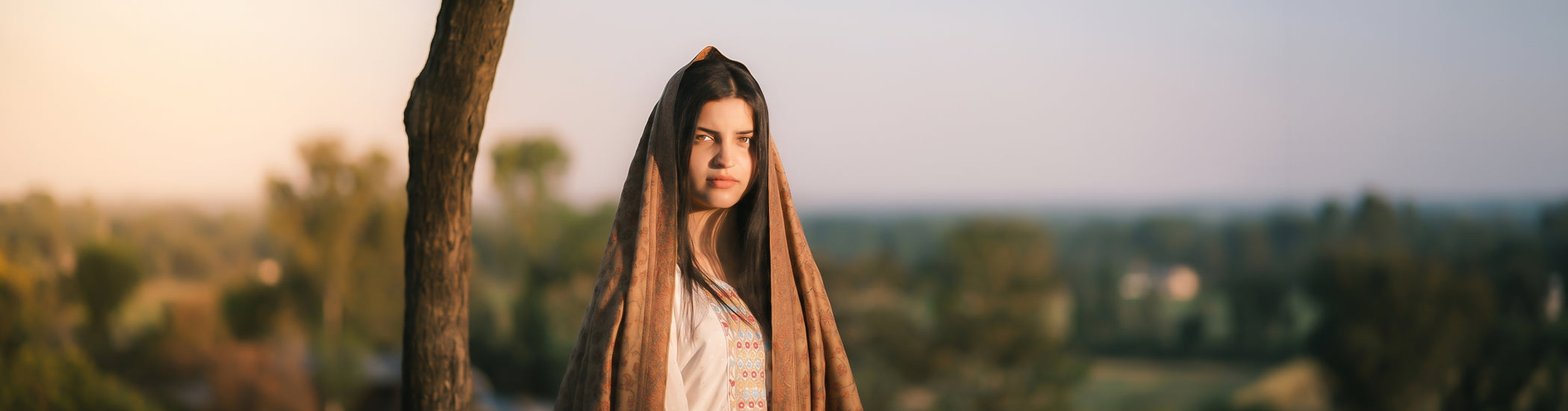 All Over Jaalidaar Pashmina