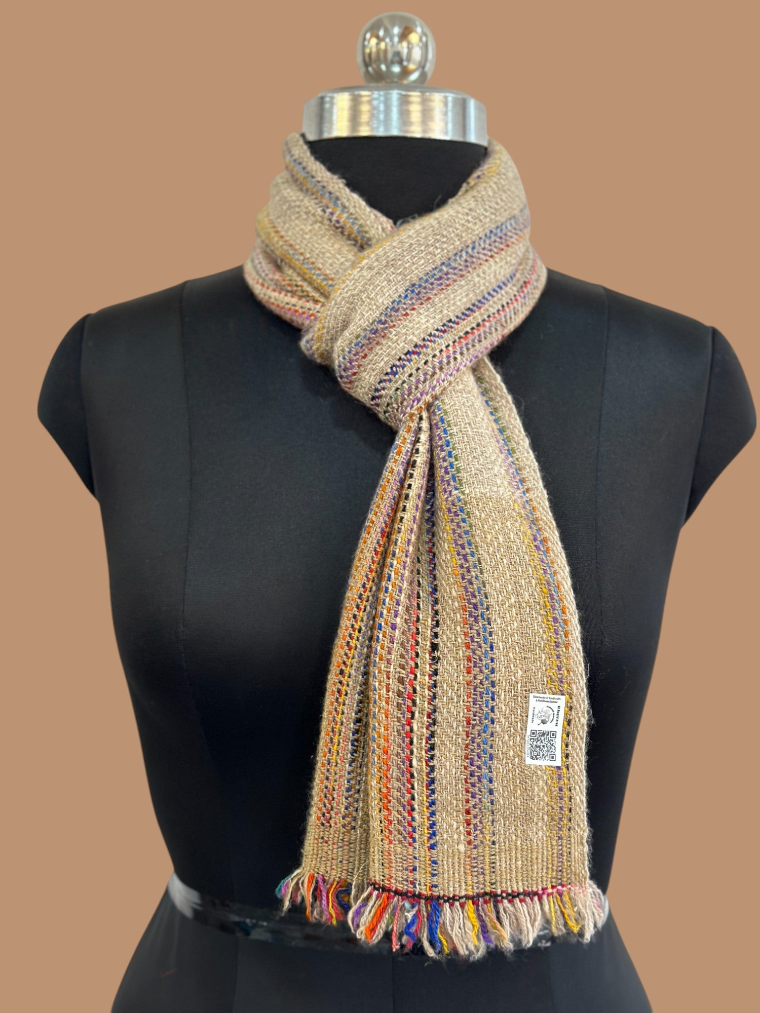 Vibrant Visions Pashmina Muffler