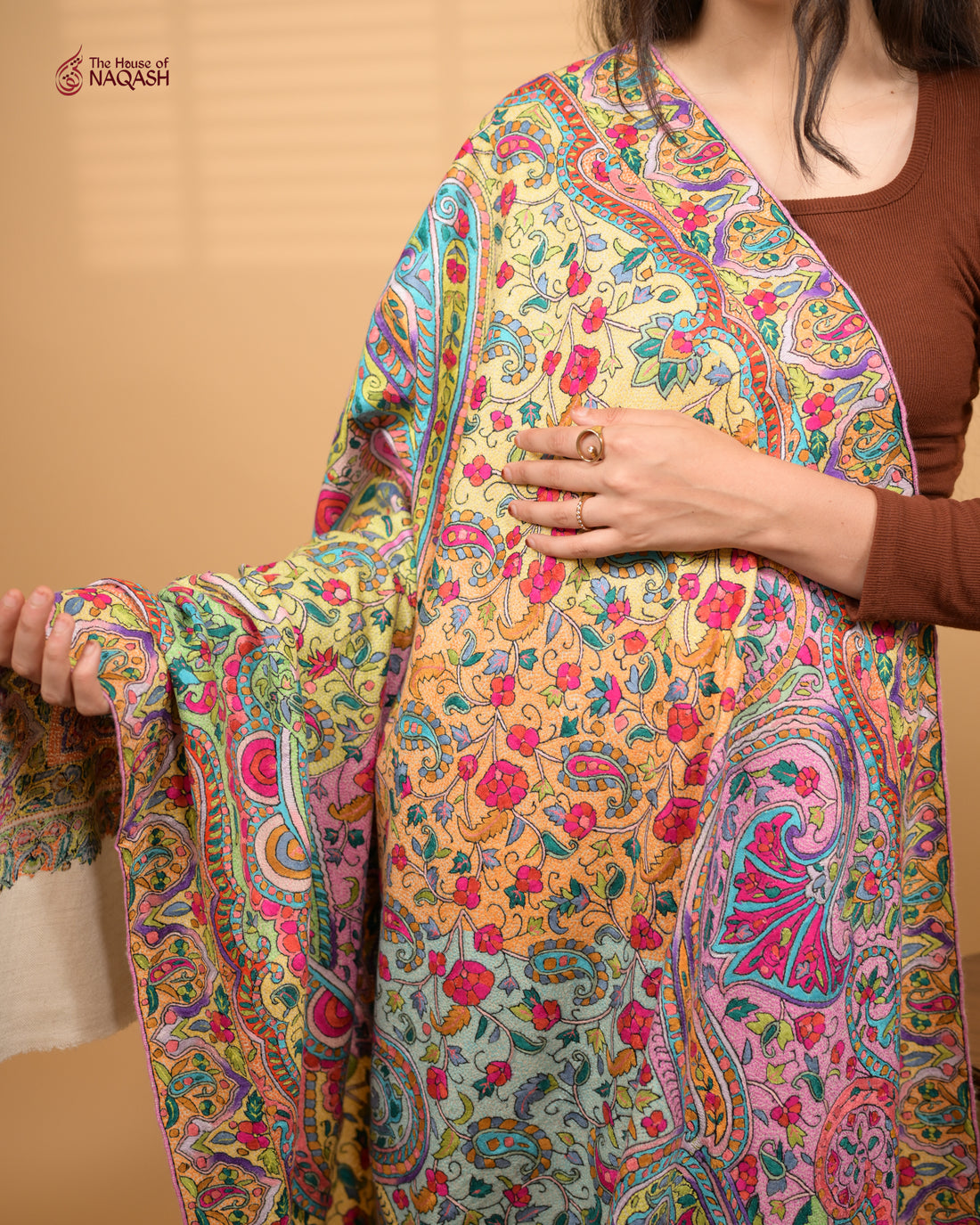 Chromatic GI Pashmina Shawl