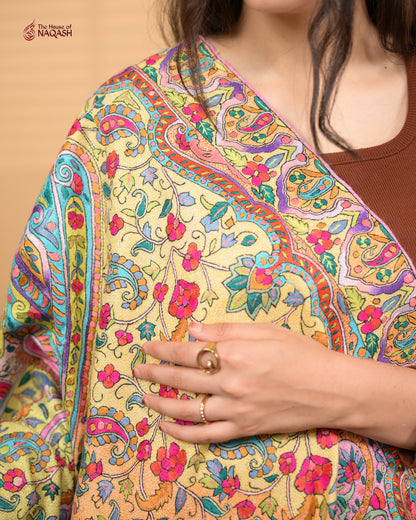 Chromatic GI Pashmina Shawl