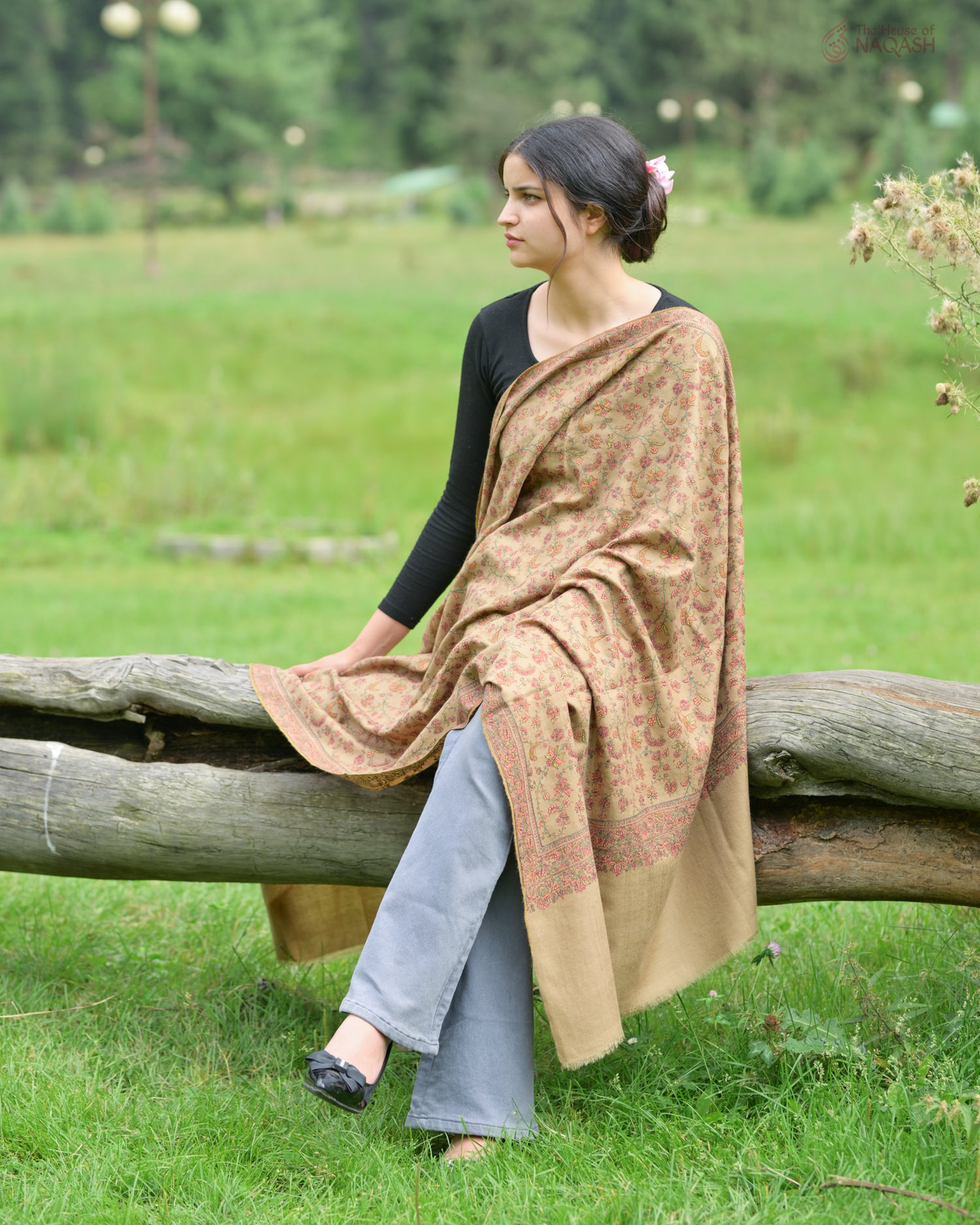 Royal Heritage Sozni Jaalidaar Hand-Embroidered GI Pashmina Shawl