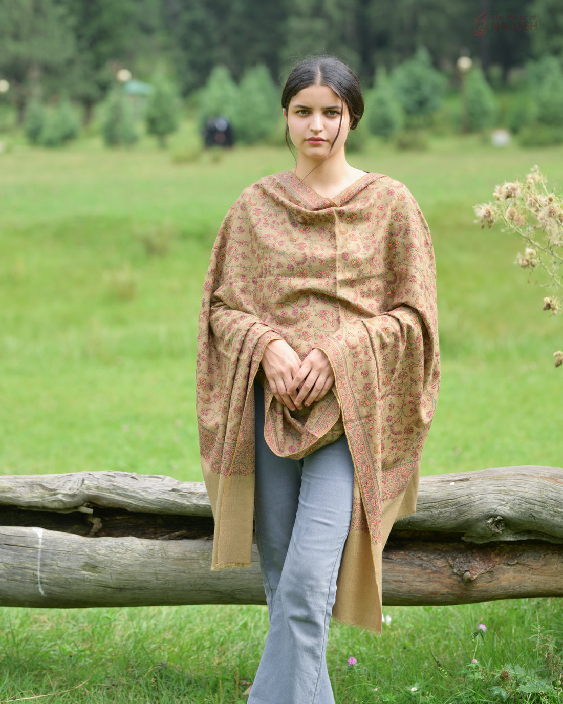 Royal Heritage Sozni Jaalidaar Hand-Embroidered GI Pashmina Shawl