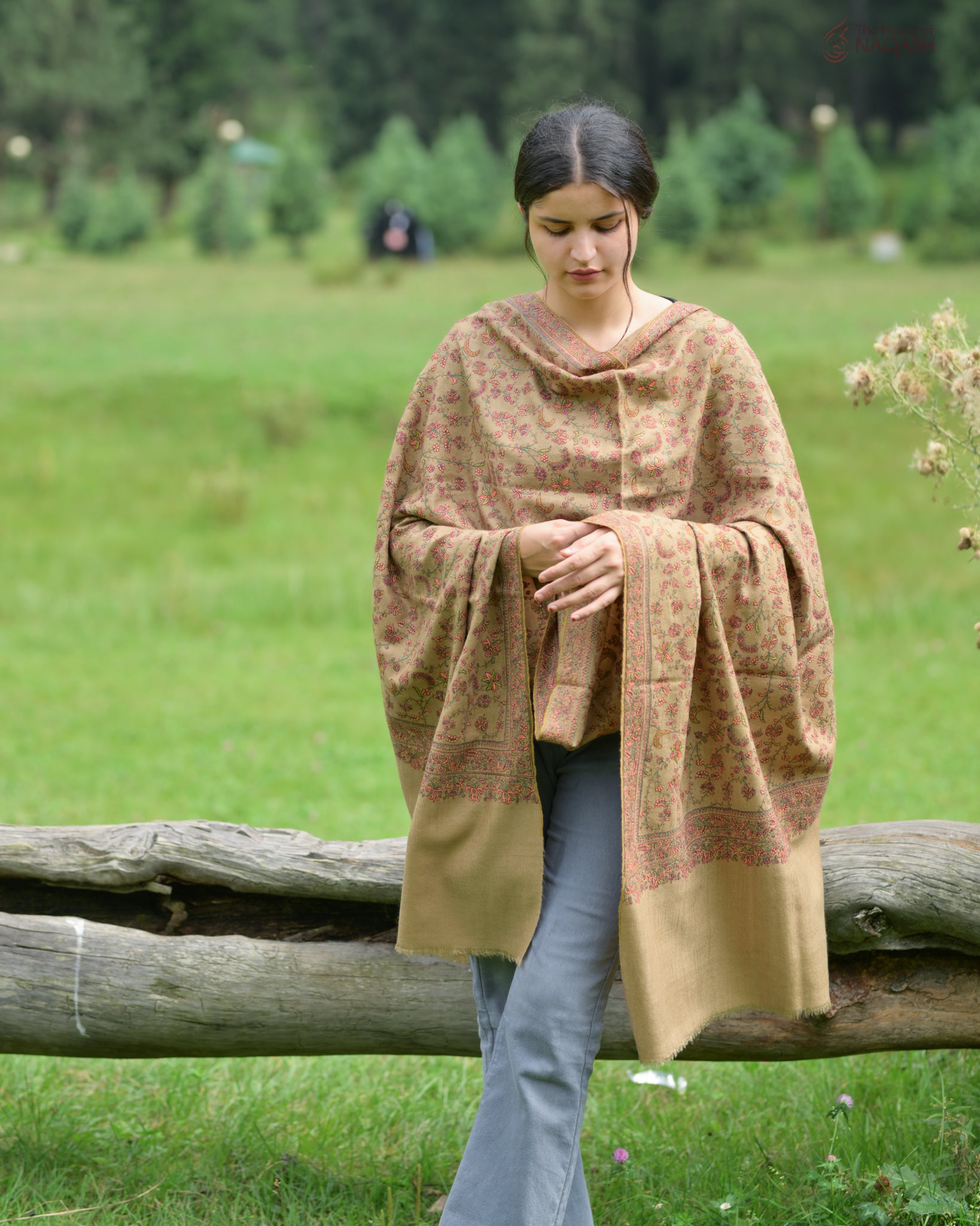 Royal Heritage Sozni Jaalidaar Hand-Embroidered GI Pashmina Shawl