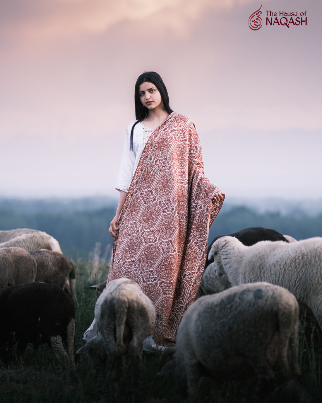 Embroidered Mirage GI Pashmina Shawl