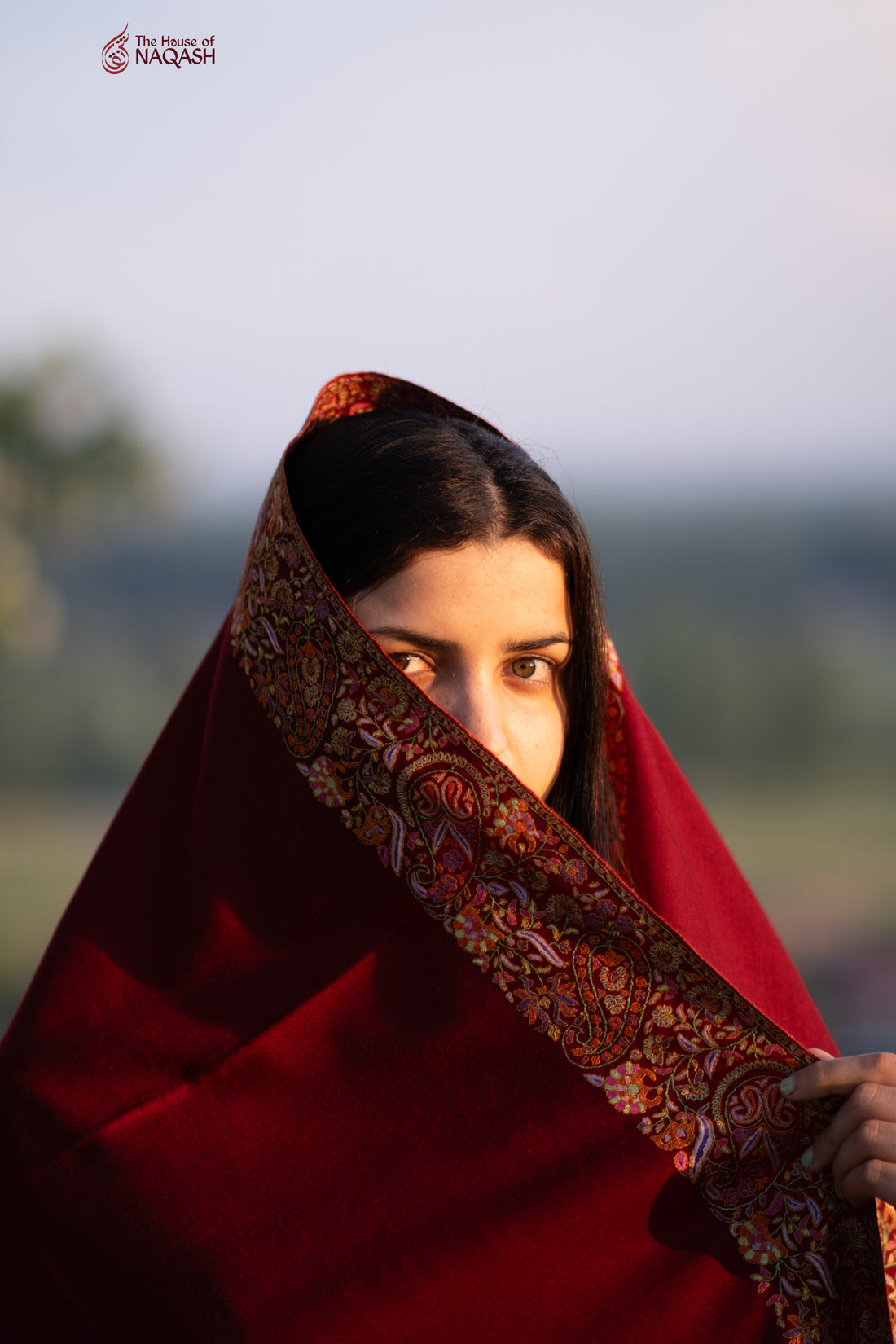 Berry Velvet Pashmina Shawl