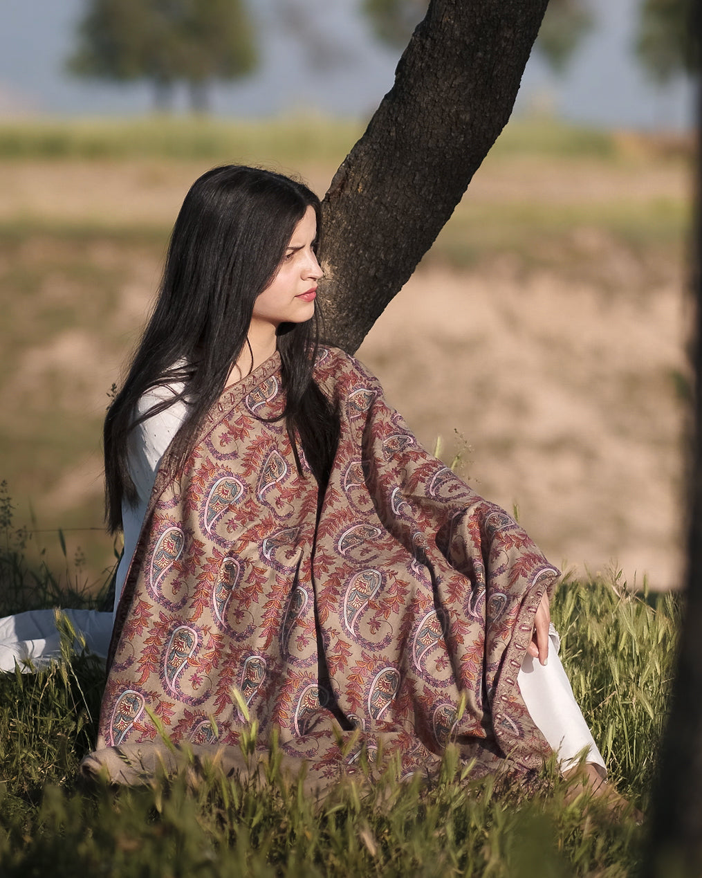 Honeyed Beige Jaaldar GI Pashmina Shawl